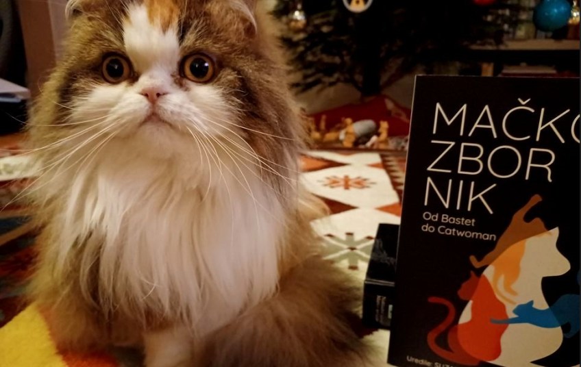 Promocija zbornika radova “Mačkozbornik: od Bastet do Catwoman” u Mačkovcu
