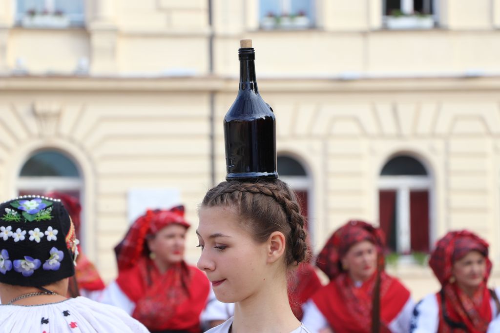 Deseti susret folklora “KUD Srce i prijatelji”