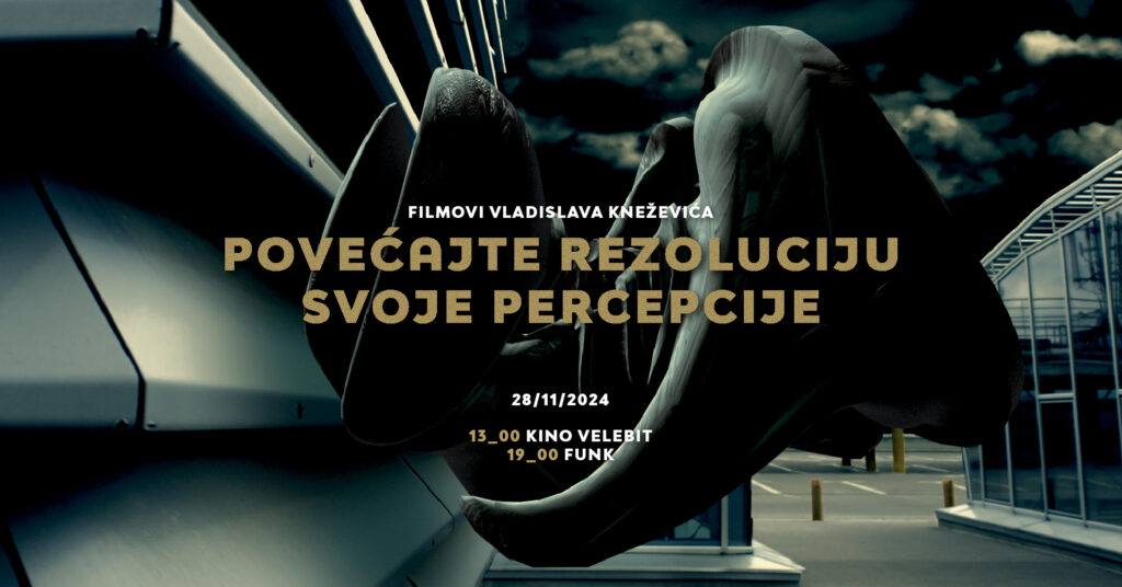 Povećajte rezoluciju svoje percepcije / filmovi Vladislava Kneževića