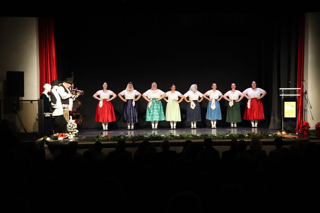 U “Domoljubu” održan tradicionalni humanitarni koncert Lige protiv raka KKŽ